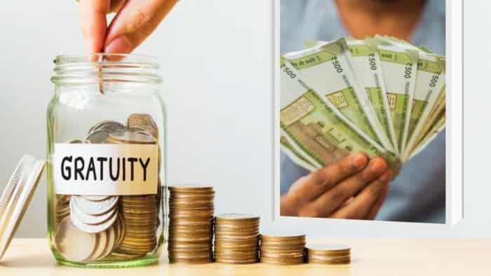 Gratuity Eligibility Criteria: अगर किसी कर्मचारी ने 5 सालों से चंद महीने कम समय तक कंपनी में नौकरी की है, तो क्‍या उसे ग्रेच्‍युटी की उम्‍मीद रखनी चाहिए? यहां जानिए ग्रेच्‍युटी के मामले में क्‍या कहता है नियम.