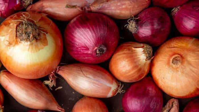 Govt directed NCCF and NAFED to initiate procurement of 5 lakh tonnes of onion for the buffer requirement directly from the farmers