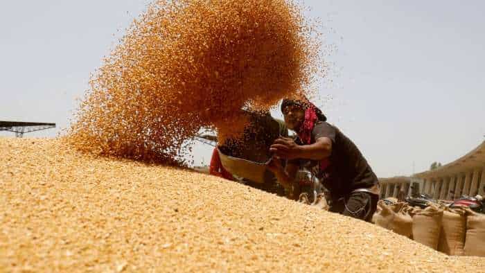 Govt aims 7-fold jump in wheat procurement from UP Rajasthan and Bihar