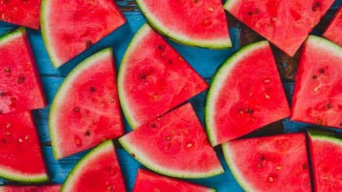 government approved import of watermelon seeds without any restrictions from may 1 to june