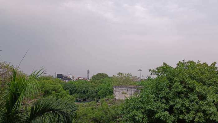 delhi weather update alert in delhi ncr chances of rain know the weather condition of delhi up check imd alert