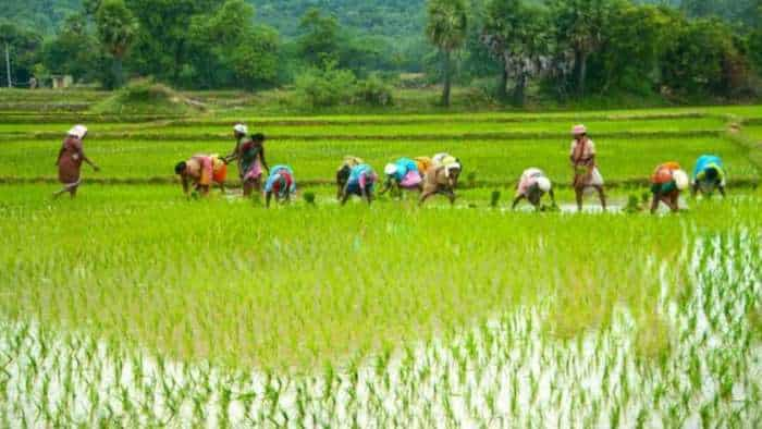 Good news for farmers of Telangana before lok sabha elections Telangana CM promises to give a bonus of Rs 500 on paddy along with farm loan waiver up to Rs 2 lakh