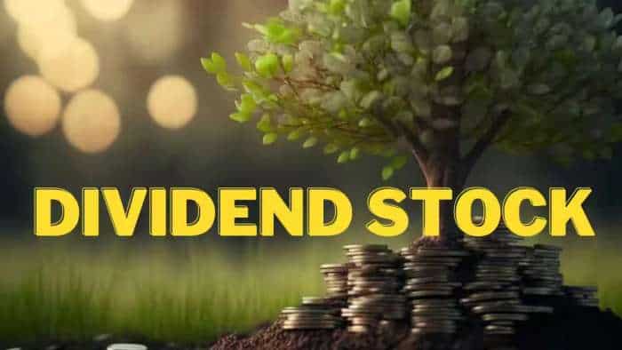 Maruti Suzuki LTI Mindtree HCL Tech Tech Mahindra to Hindustan Uniliver top companies announces dividend