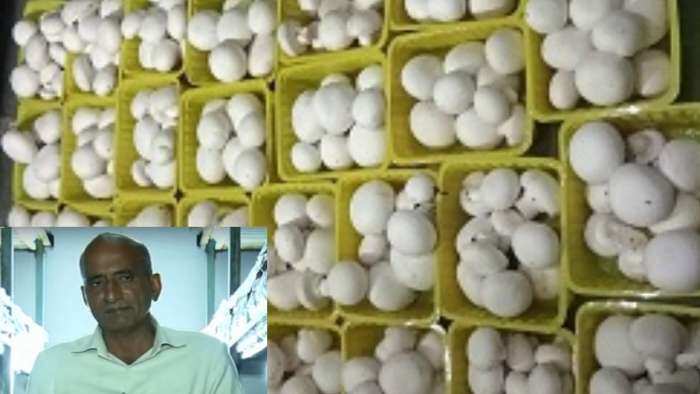 success story delhi farmers earns over rs 21 lakh per year through mushroom farming know details