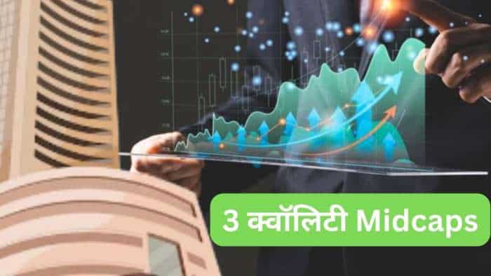 Midcap Stocks to BUY for long term Bharat Forge Concor and Federal Bank check target details