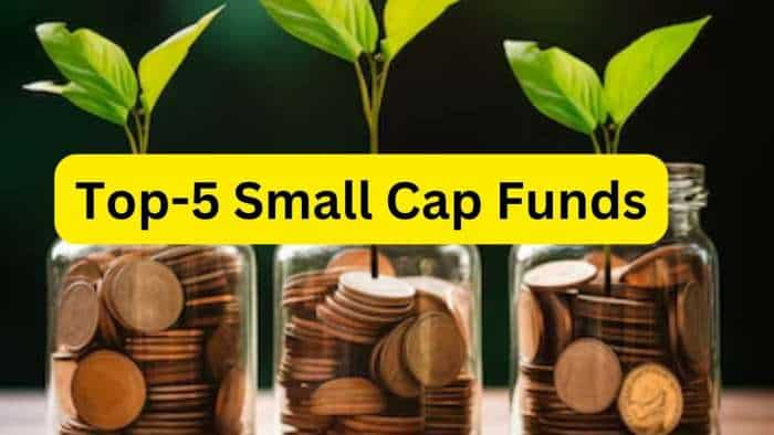 Top-5 Small Cap Funds for SIP investors gave up to 60 percent return 1 year