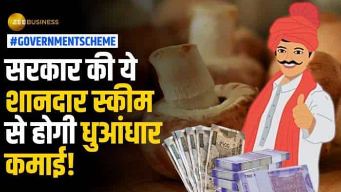 Government Scheme: सरकार की तरफ से नयी स्कीम जारी, केवल 6 हजार रुपए लगाकर कमाएं 30,000 तक