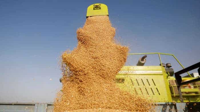 wheat import duty Food Ministry retain current rate says sufficient domestic production