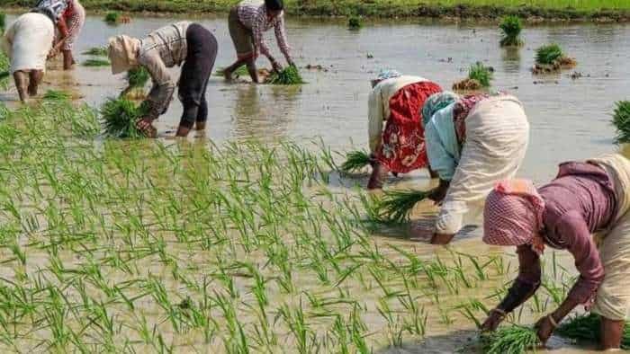 Budget 2024 Agriculture Economist gave these suggestions in pre budget consultation to Finance Minister Nirmala Sitaraman