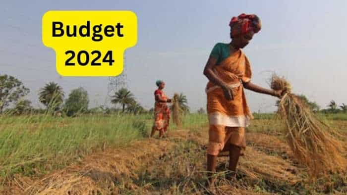 Budget 2024 SEA urges govt to take steps to boost oilseeds production in Union Budget