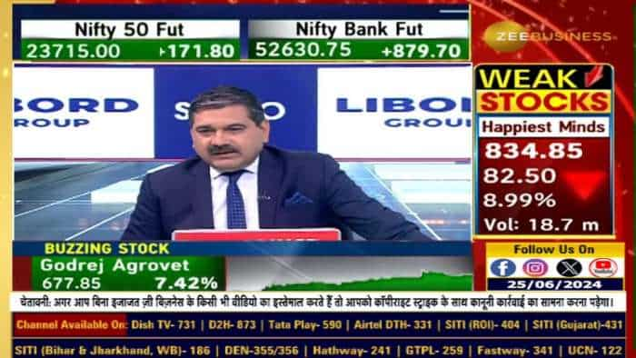 F&O से जोखिम बढ़ने के बीच SEBI ने बनाया वर्किंग ग्रुप, क्या है वर्किंग ग्रुप का मैंडेट?