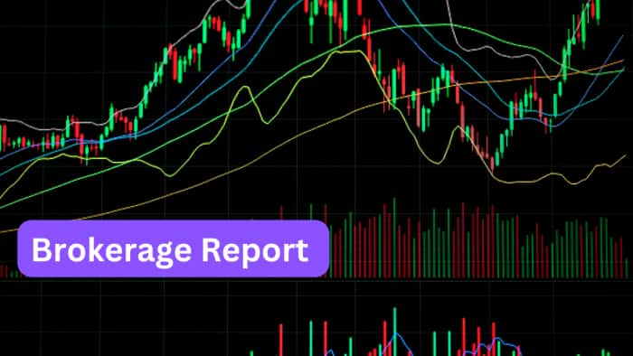 Brokerage report of this week have 5 stocks to buy zomato bharti airtel dr reddy lab ultratech cement polycab