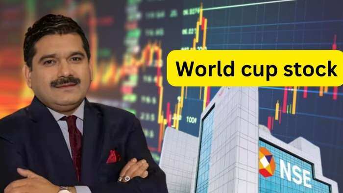 Anil Singhvi World cup stocks pick REC, PFC for 1-3 years check targets, SL, Triggers