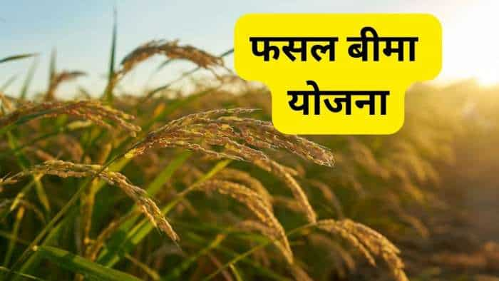 pm fasal bima yojana Crop Insurance Week starts from 1 july 2024 Kharif crops insurance know all details