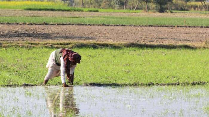 good news Amit Shah to launch a Scheme AGR-2 offering 50 percent subsidy on nano-fertilisers for farmers