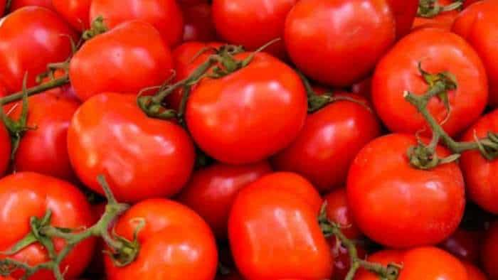 hybrid tomato As tomato prices soar over Rs 80 kg ICAR hybrids offer hope for market stability