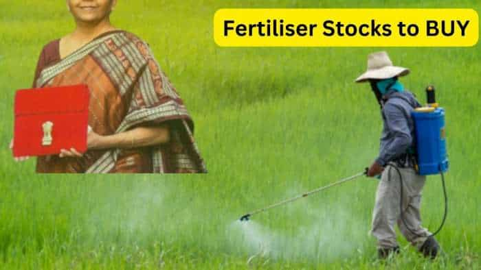 Fertiliser Stocks to BUY after Budget 2024 Deepak Fertilisers check targets