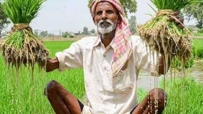 Kharif crop sowing is more than 904 lakh hectares