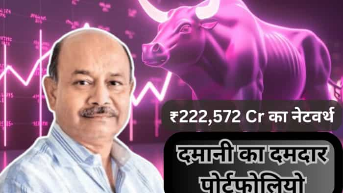 radhakishan damani portfolio 13 stocks networth 222572 crore two new stocks portfolio and latest holdings