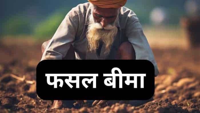 crop insurance mp government extends pm fasal bima yojana till 16 august 2024 pmfby check details