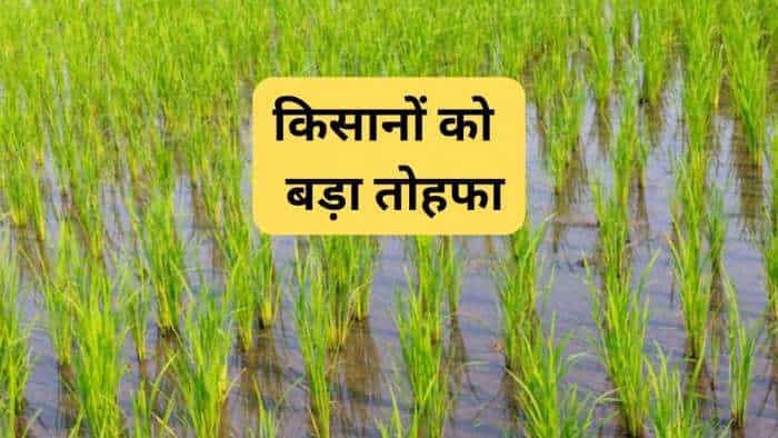 haryana govt giving rs 4000 per acer to farmers who sowing paddy through dsr