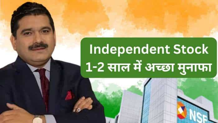 Independent Stock Anil Singhvi BUY on TVS Srichakra check target for 1-2 years for high return