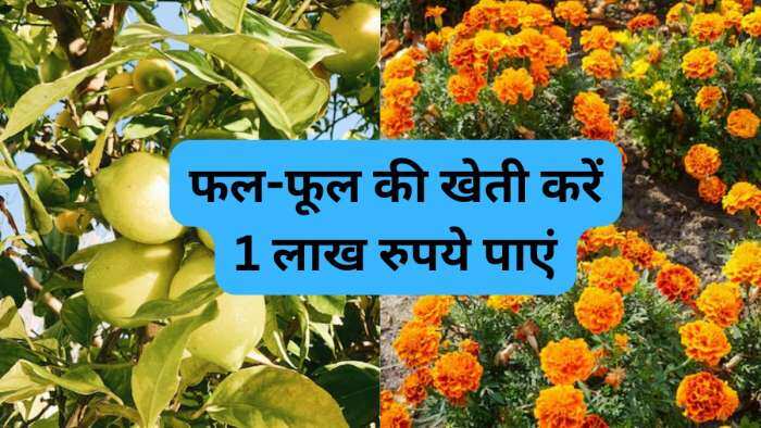 sarkari yojana bihar government giving rs 1 lakh per acre subsidy on fruit and flower farming know how to apply