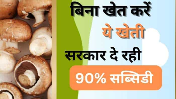 sarkari yojana bihar govt subsidy on mushroom kit know how to apply and all details