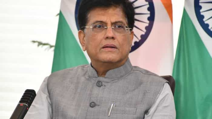 commerce minister Piyush Goyal paid concern over on E-Commerce Business Growth in india e-commerce predatory prices concern for small retailers 