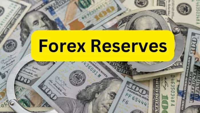 India forex reserves rise 4-55 billion dollar week on week to 674-66 billion dollar as of 16 August 2024