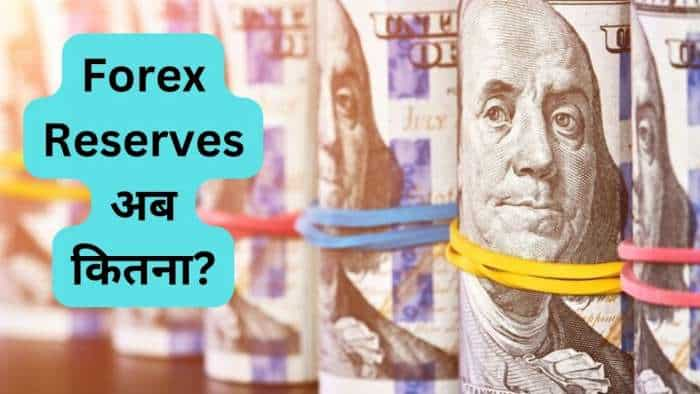 India Foreign Exchange Reserves rose by 7 billion dollars to record high