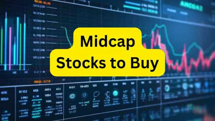 midcap stocks to buy expert buy call on zero debt stocks EMS Triveni Turbine CAMS check target price and expected return