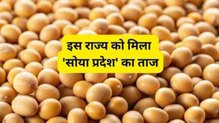 this state again became Soya Pradesh ranked first in the country with a production of 5-47 million tonnes Leaving Maharashtra and Rajasthan behind