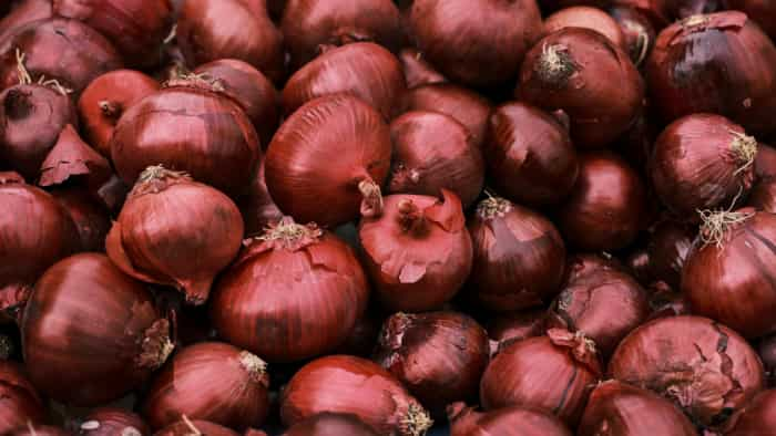 Onion Price Centre to begin onion sale at Rs 35 per kg in Delhi-NCR from Thursday