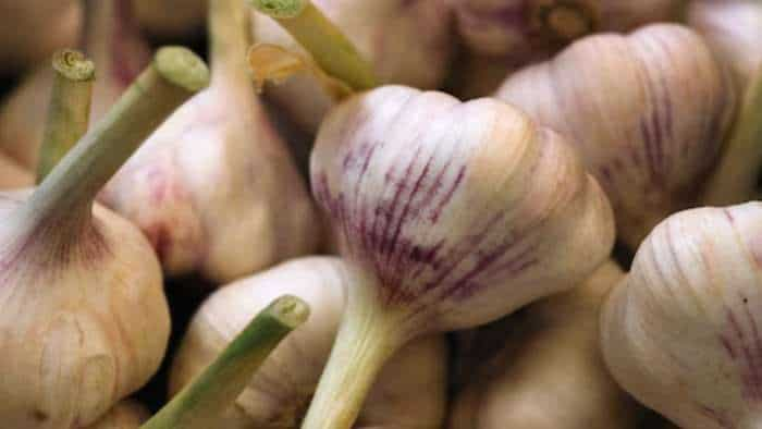 Gujarat Traders Allege Chinese Garlic Being Smuggled In India Despite Ban On Import