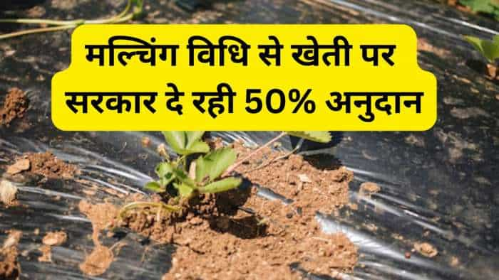 sarkari yojana bihar govt giving 50 percent subsidy on mulching to farmers know all details