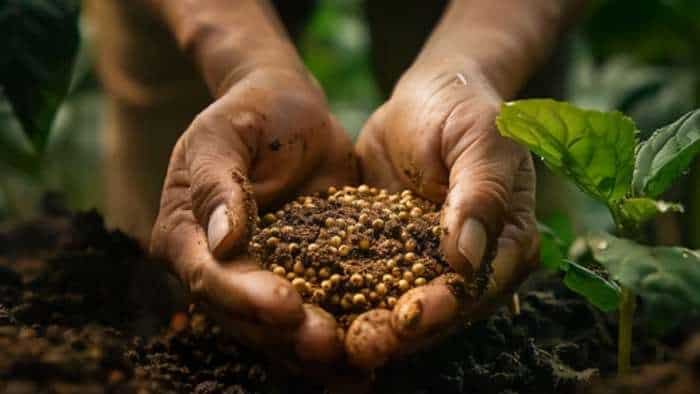  GOBARdhan scheme online application starts get subsidy of 10000 rupees on vermicompost unit check details