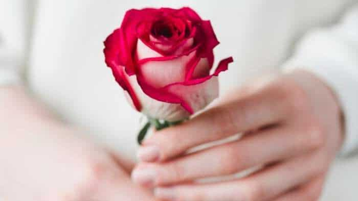 World Rose Day 2024 Day for the Welfare of Cancer Patients history related to 12 years old girl who was suffering from cancer 