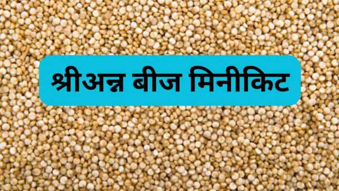 Millets Cultivation rajasthan govt distribute millets seed minikit to 24 lakhs women farmers check details