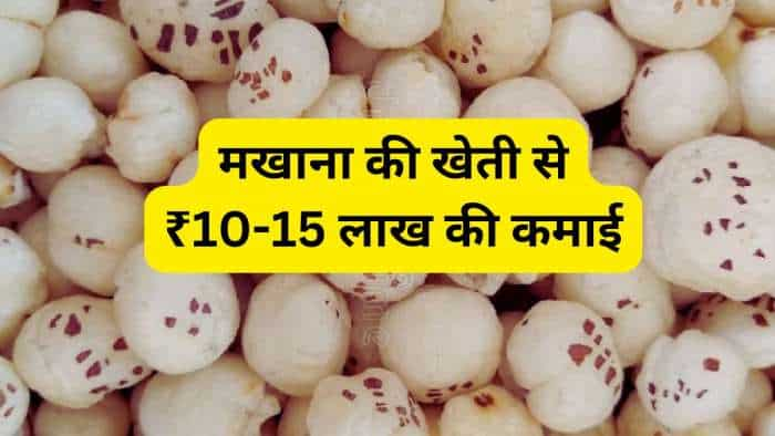 success story left job during Corona period and started Makhana farming now pradeep gupta earning 10-15 lakh rupees annually