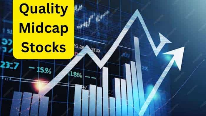  गिरावट वाले बाजार में कमाई वाले 3 दमदार Midcap Stocks, जानें कमाई वाला टारगेट 