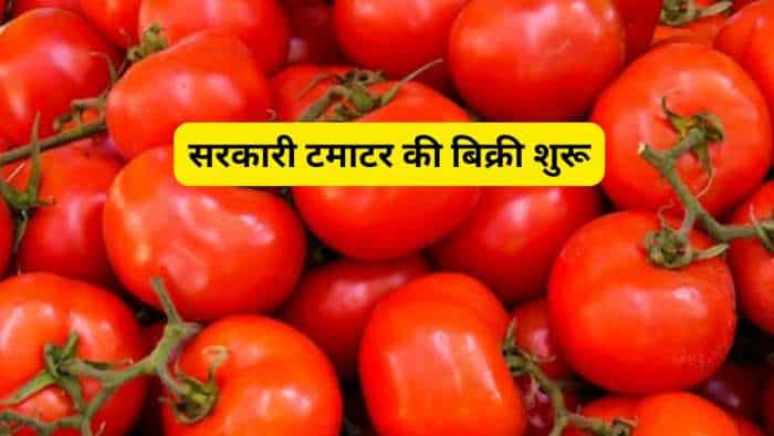 tomato price hike NCCF launches tomato sale at rs 65 per kg in Delhi-NCR to combat rising prices