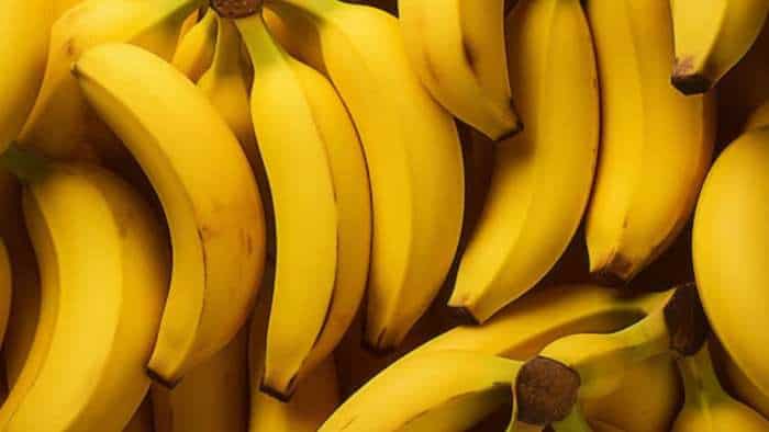 banana cultivation increases in uttar pradesh farmers became an alternative to traditional crops yogi govt rs 31000 per hectare subsidy