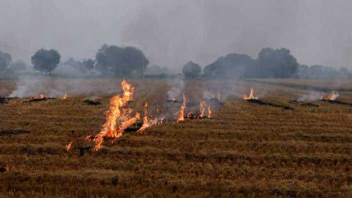 CAQM authorizes DC DMs to initiate appropriate action for prosecution of official for ineffective control on paddy stubble burning