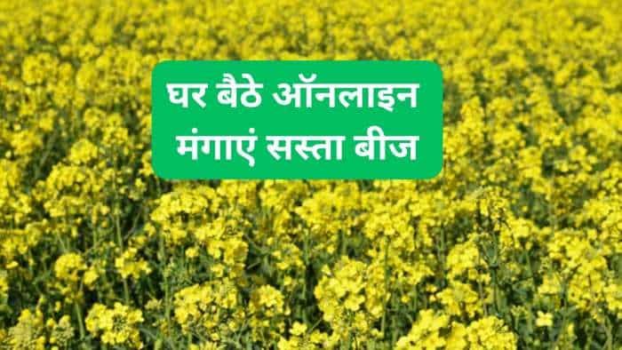 rabi crops farmer to cultivate mustard in rabi season buy online mustard seeds from national seeds corporation 