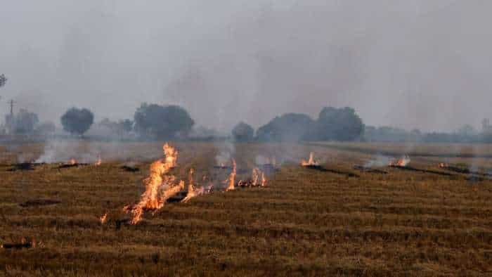 haryana govt strict action stubble burning farmers not be able to sell their crops at MSP in the mandis for 2 seasons