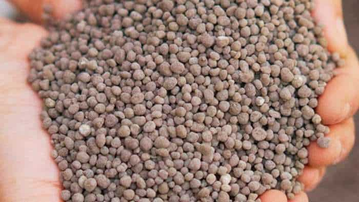 Triple superphosphate dap farmers to use tsp fertilizer instead of dap in rabi crops get more production