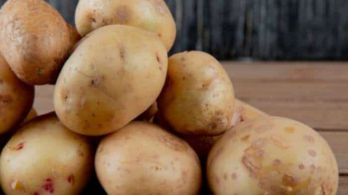 Potato cultivation Farmers to sow potatoes within a week otherwise there could be huge losses due to frost