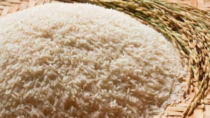 Govt launches Phase-II of subsidised wheat flour rice sale under Bharat brand bharat rice bharat