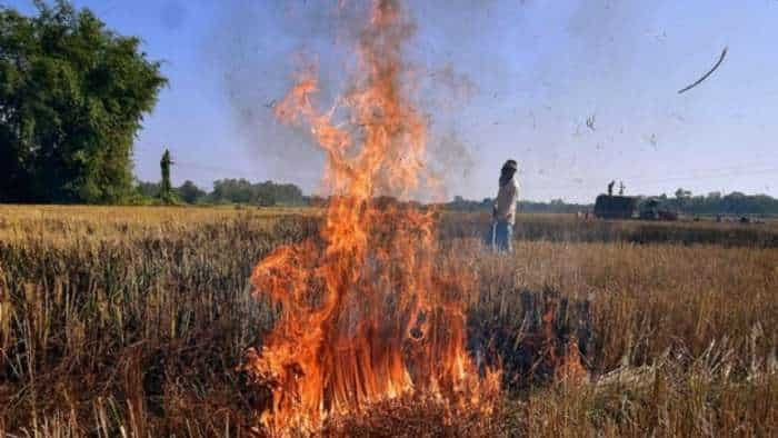 Pollution in Delhi-NCR Government has increased strictness on burning stubble people have to pay a fine up to 30 thousand  